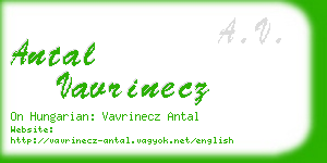 antal vavrinecz business card